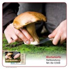 ProduktinfoArt.-Nr. NK-Sb12008c